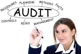 Management Audits Service 02