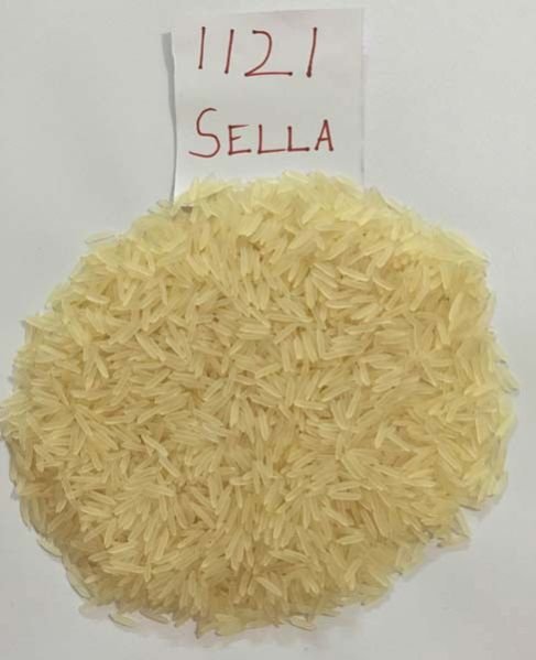 1121 Sella Rice 01