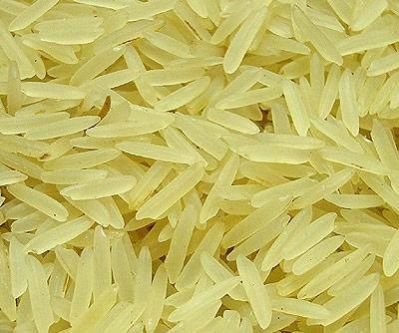 1121 Sella Rice 02