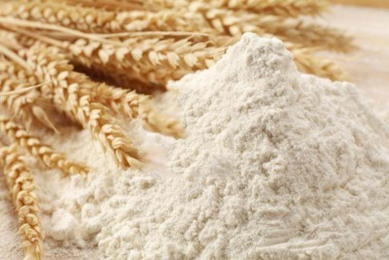Wheat Flour  04