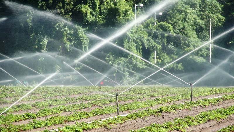 Agriculture Sprinklers 01