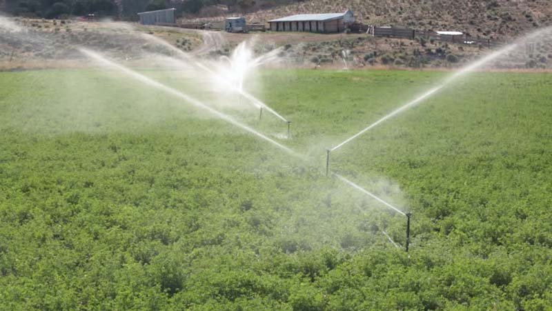Agriculture Sprinklers 02