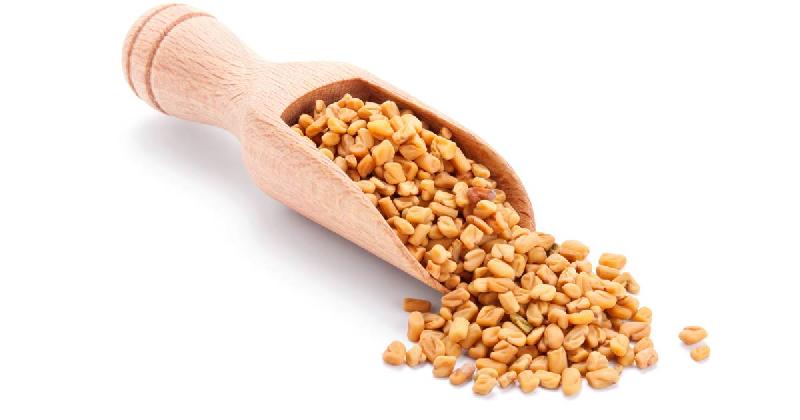 Fenugreek Seeds 01