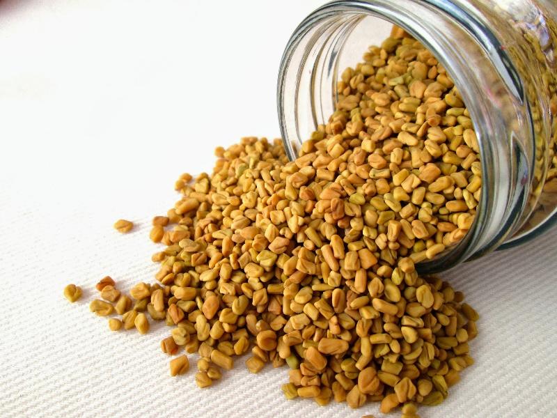 Fenugreek Seeds 04