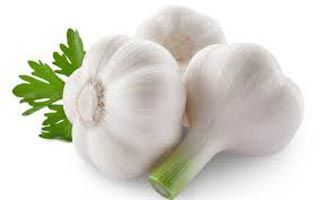 White Onion