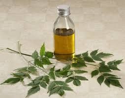 Neem Oil 02