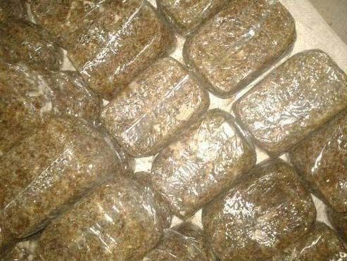 Pure Loban (Benzoin) 04