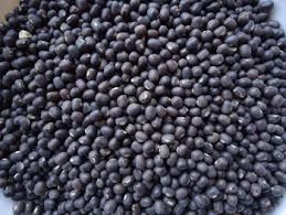 Whole Black Urad Dal 01
