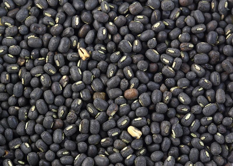 Whole Black Urad Dal 02