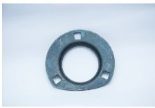 Back Rhino Bearing Cover