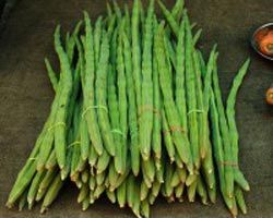 Organic Drumstick 02