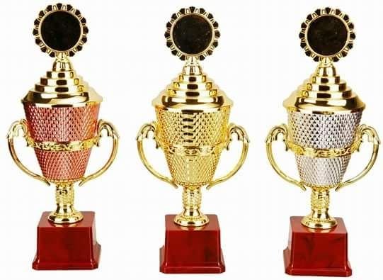 Plastic Trophy Cups 07