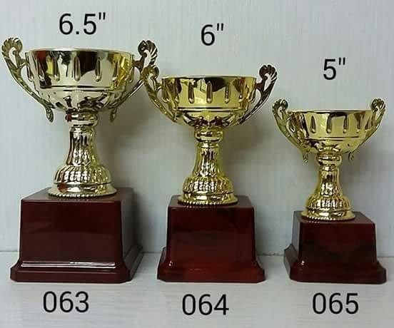 Plastic Trophy Cups 08