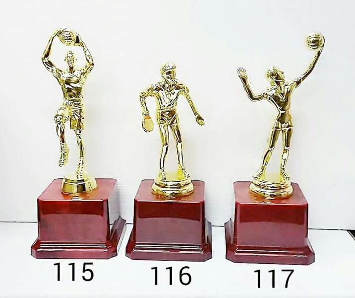 Plastic Trophy Cups 11