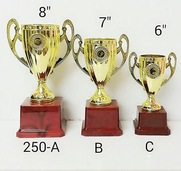 Plastic Trophy Cups 12