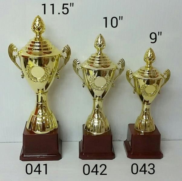 Plastic Trophy Cups 13
