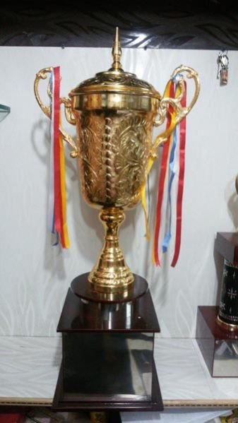 Plastic Trophy Cups 14