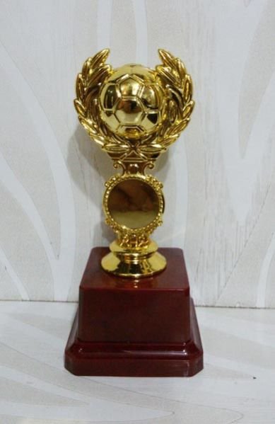 Plastic Trophy Cups 17