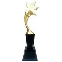 Star Metal Award (1101)