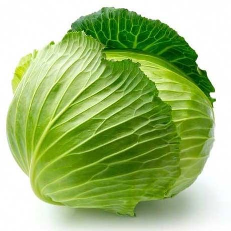 Fresh Cabbage 02