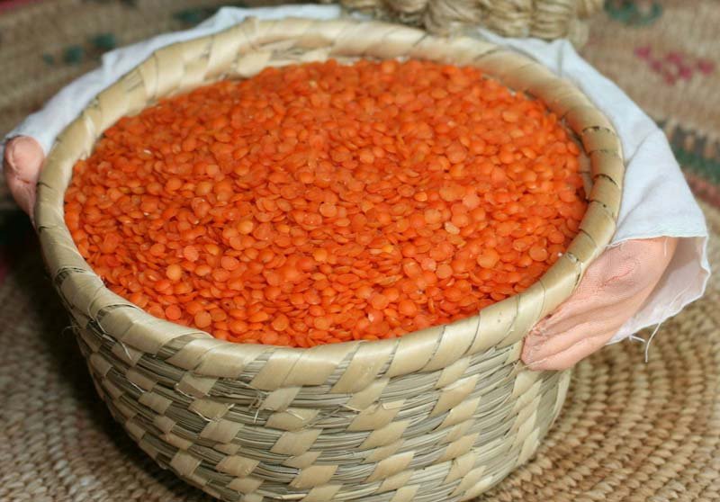 Red Lentil 01
