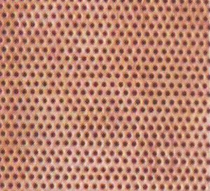 Copper Conical Hole Centrifugal Working Screen