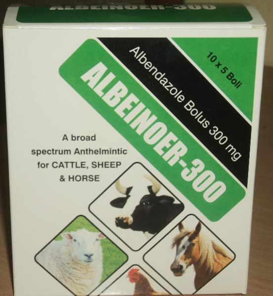 Albendazole Bolus (300mg)