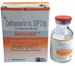 Ceftriaxone Injection (2.5 g)