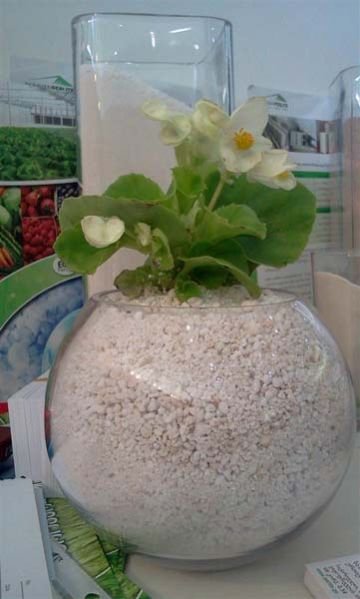 HyfloSupercell TM Horticulture Perlite 05