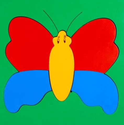 Inset Puzzle (WTIP05)