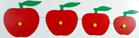 Size And Seriation Tray (WTSAS01)