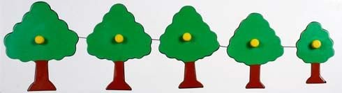 Size And Seriation Tray (WTSAS02)