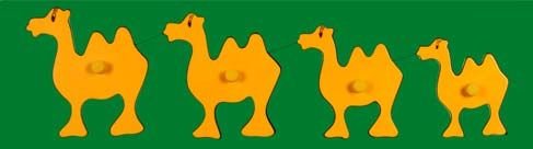 Size And Seriation Tray (WTSAS03)