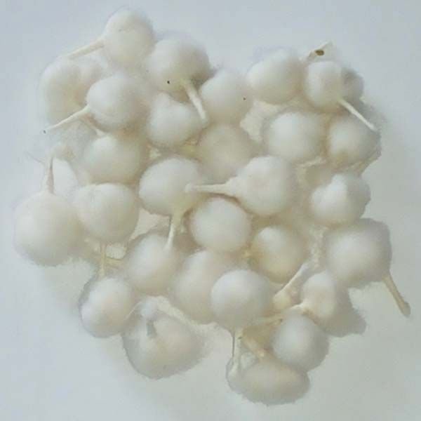 Cotton Wicks