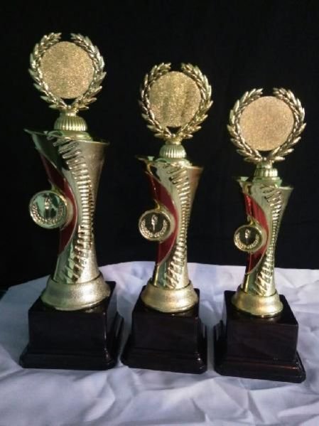 Wooden Trophies 06