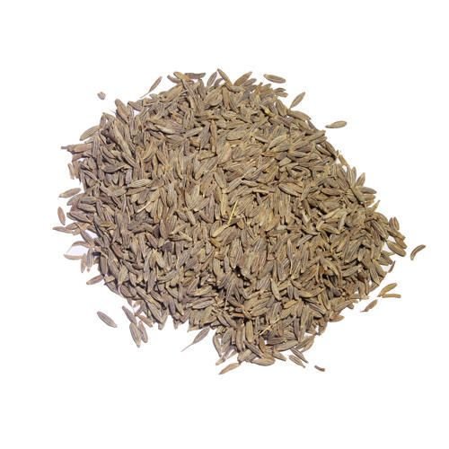 Colombo Cumin Seed 01