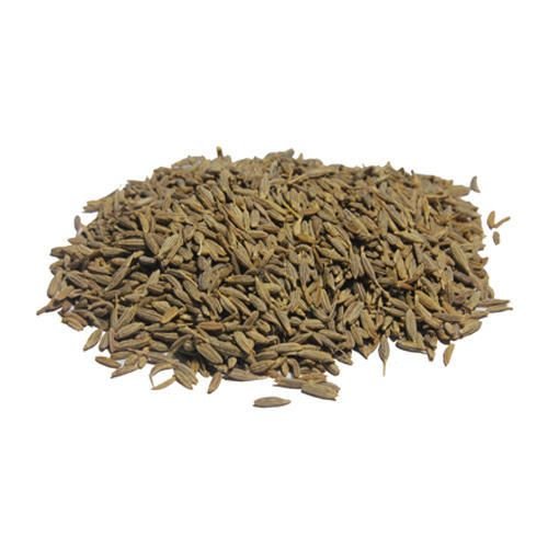 Colombo Cumin Seed 02