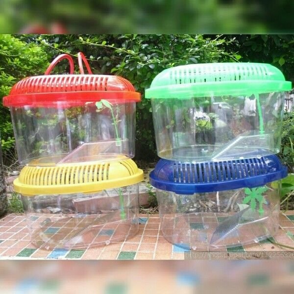 Basket Turtle Tanks