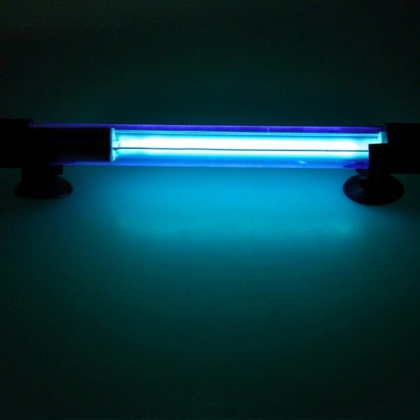 Blue Light-600x600