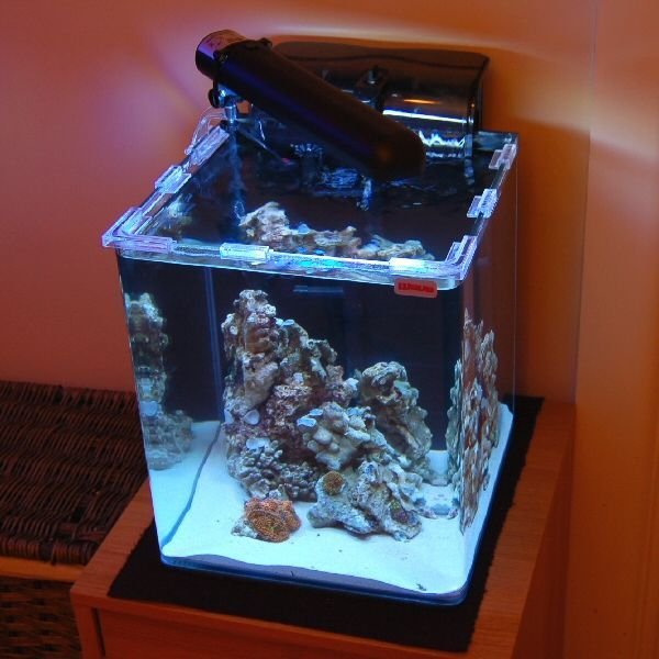 Nano Tank Setup