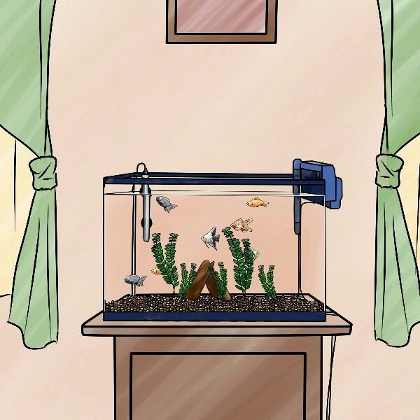 Placement of Aquarium At Home