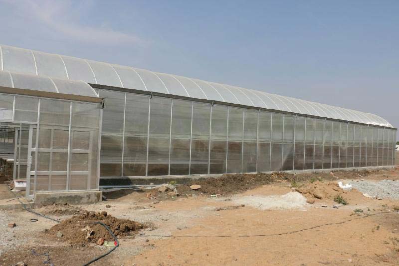 Green House Division-