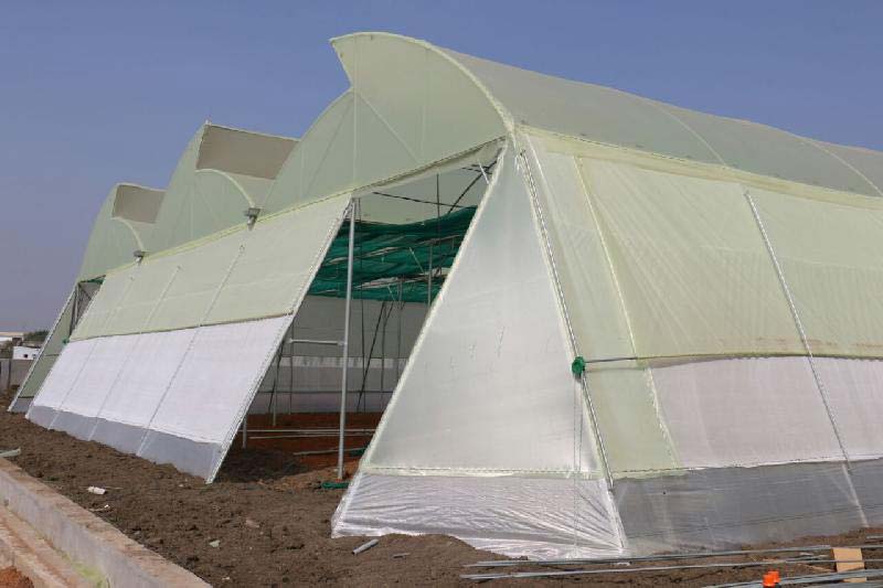 Green House Division-