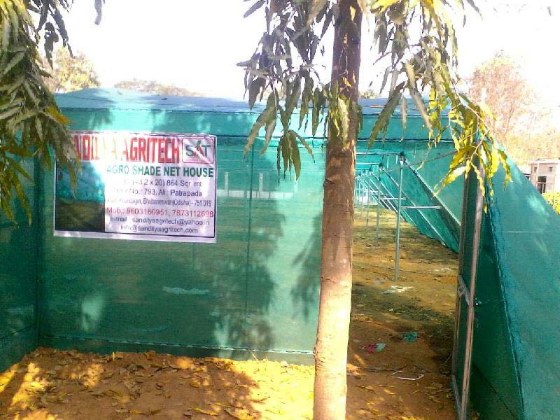 Green House Division-