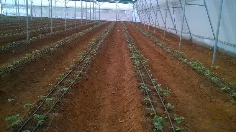 Cultivation Protection Consultancy 01