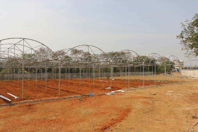 Cultivation Protection Consultancy 02