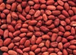 Pea Nut Kernels