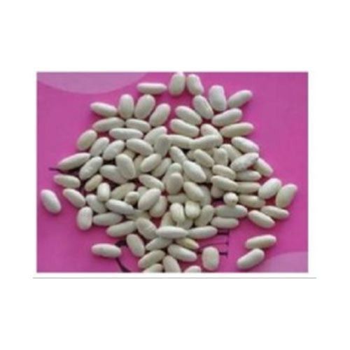 White Kidney Beans