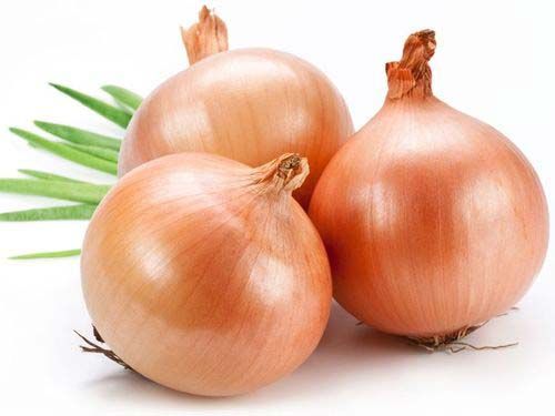 Fresh Onion 01