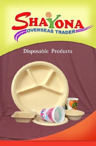 Paper and Plastic Disposable Product 11